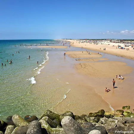 By Homing Tavira
